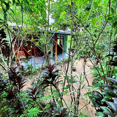 Ella Secret Paradise Zewnętrze zdjęcie