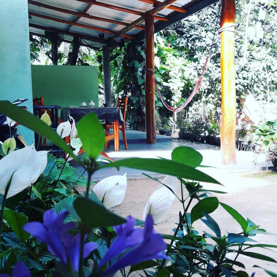 Ella Secret Paradise Zewnętrze zdjęcie